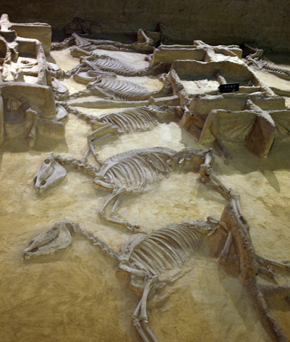 A New Capital at Luoyang