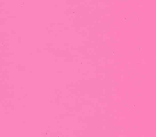 The Constitutional Convention