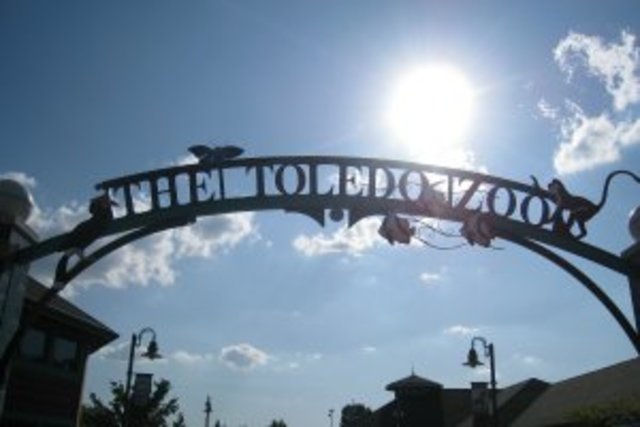 First time at a zoo and fair