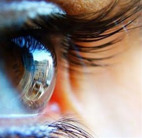 Observación personal de la realidad