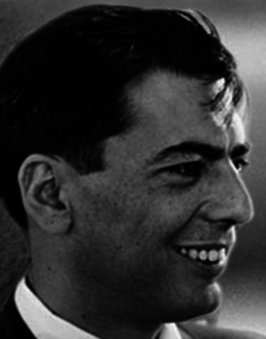Mario Vargas Llosa
