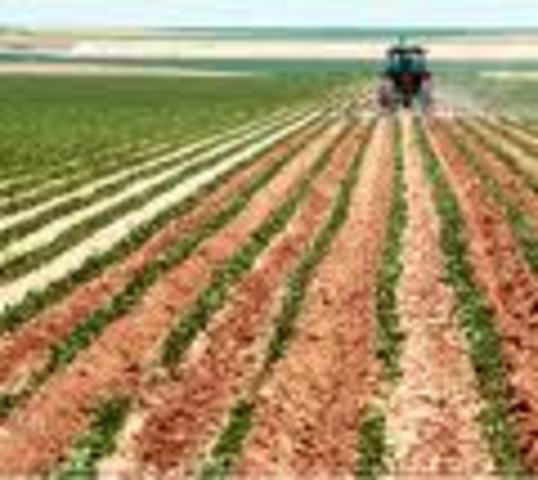 Sección de Investigación Industrial y Agrícola