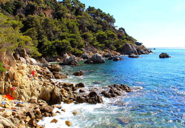 wideokonferencja ze szkołą partnerską, prezentacja stworzonych przez uczniów albumów historycznych                                                  i przyrodniczych