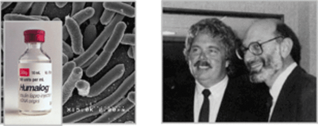 Producción exitosa a escala de laboratorio de insulina humana