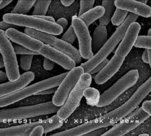 Bill Rutter y Pablo Valenzuela publican un sistema de producción del antígeno de superficie del virus causal de la hepatitis B