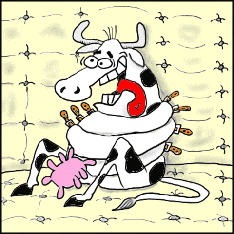 El gobierno del Reino Unido anuncia que 10 personas se han infectado con el agente BSE (causante del “Mal de la vaca loca” en animales) por exposición a carne contaminada.