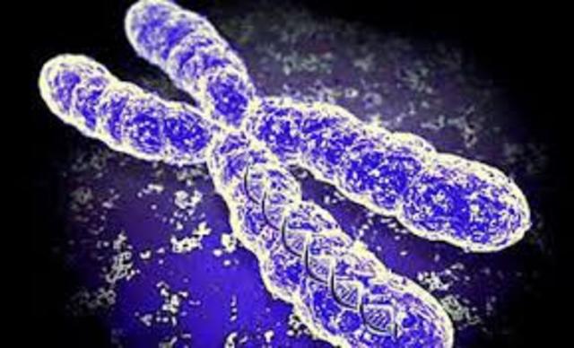 : Se completa la primera secuencia de un cromosoma humano, el cromosoma 22.