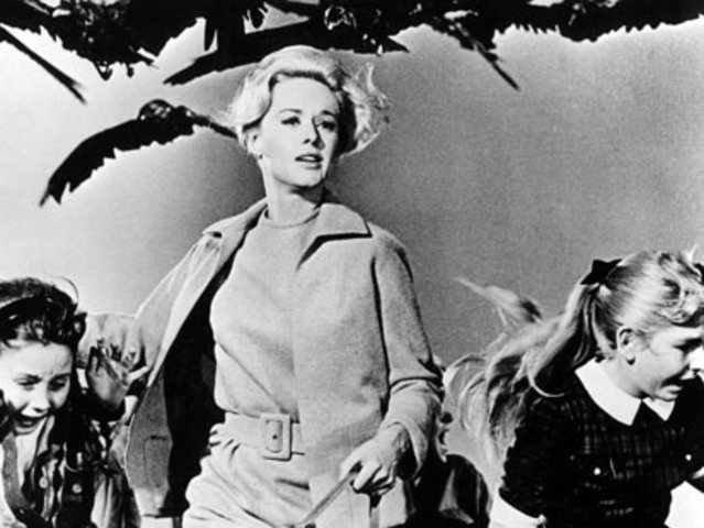 The Birds (Els Ocells)