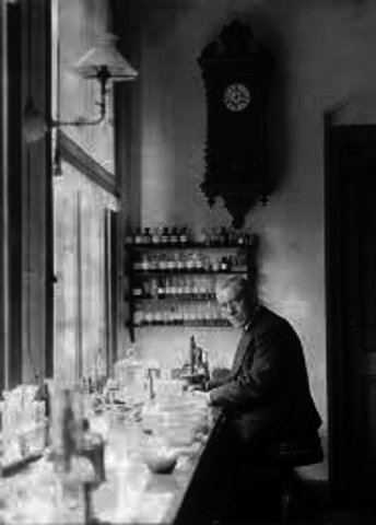 BEIJERINCK, MARTINUS