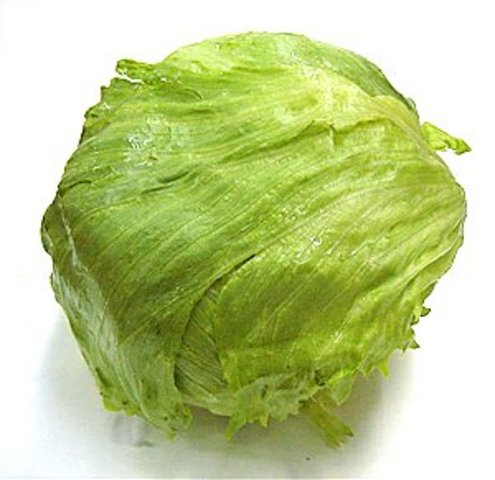 Lettuce 1