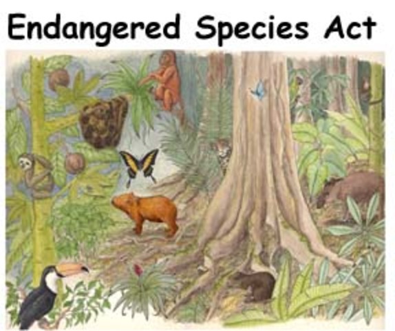 Endangered Species Act