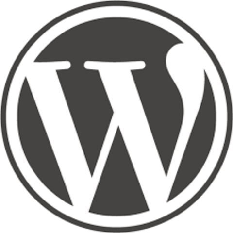 WordPress launched