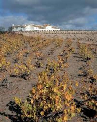 1750 -1850 Aumenta el cultivo de leguminosas