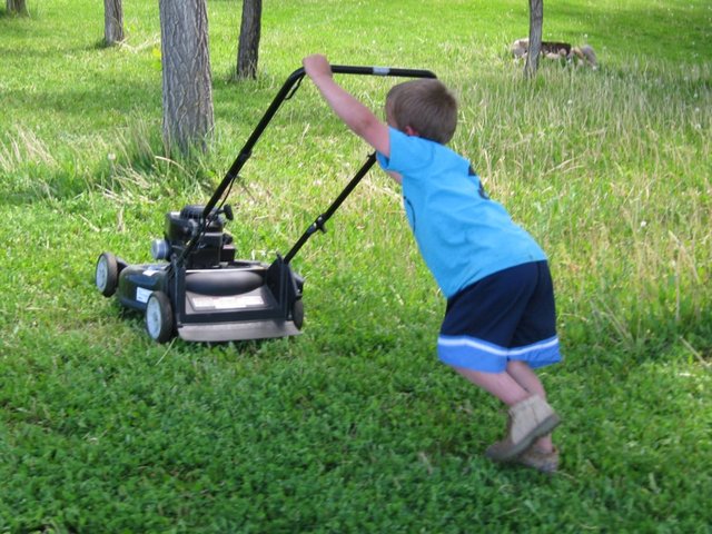 Mowing the yard