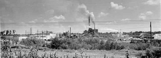 Griggs v. Duke Power Co.