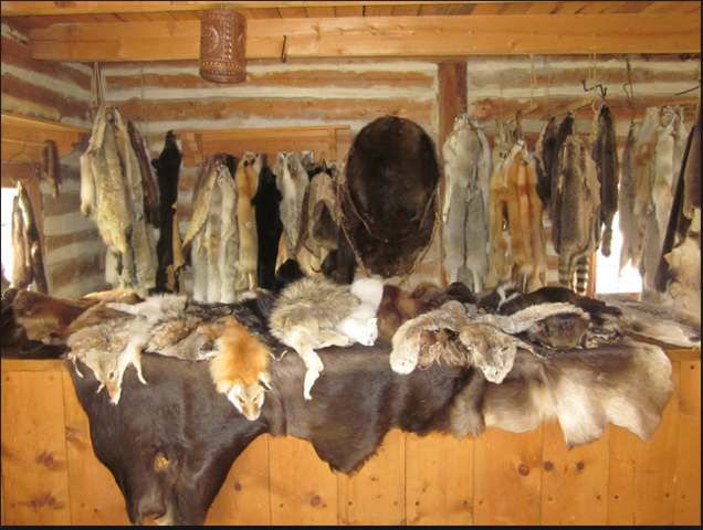 Attempts To Diversify The Economy