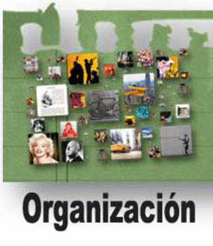 Organización