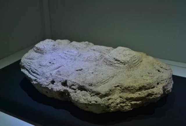 ída al museo de tikal en petén