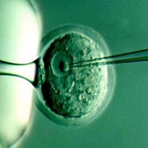 ''Ingeniería genética y clonacion: Temas virales''