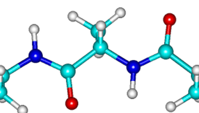 se descubre que cada gen codifica una proteina