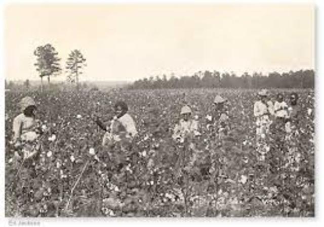 Sharecropping/ Teneant Farming