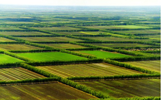 Biotecnologia año 2006