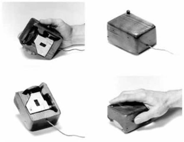 COMIENZA LA INVASION DE RATONES