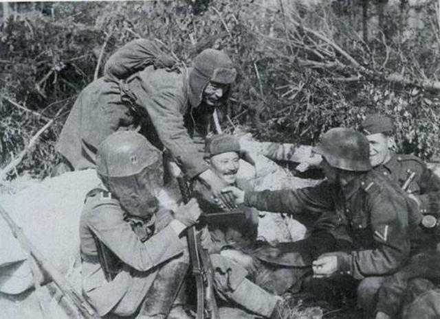 Creación de Estándares de Calidad