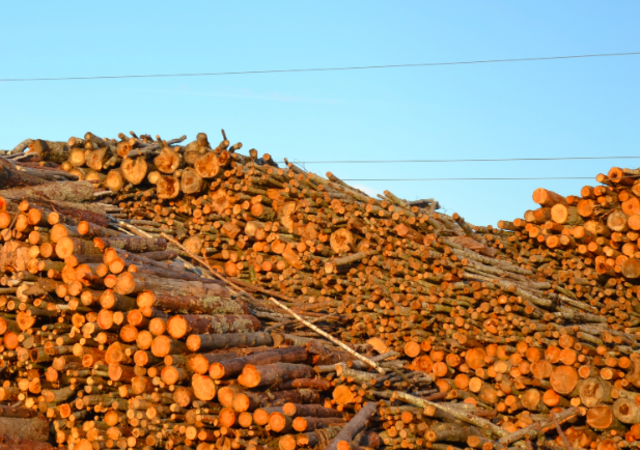 Fur trade in decline