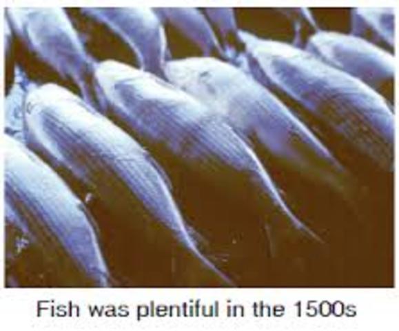 Fishing in the St Lawrence