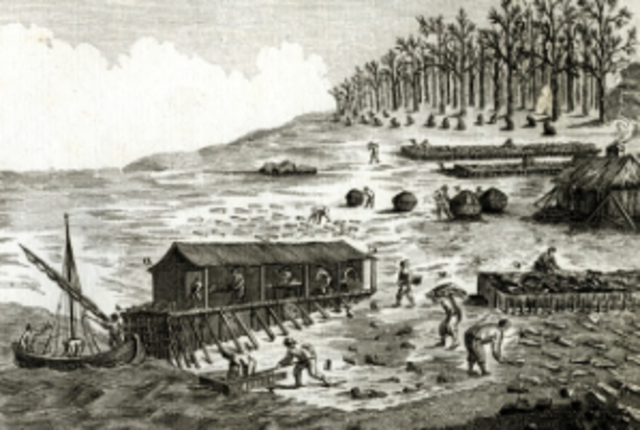 European fishing grounds