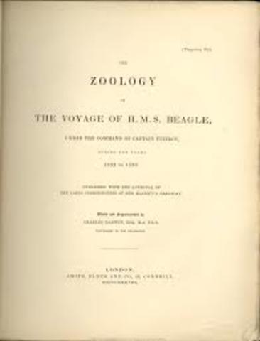 Darwin's The Zoology of the Voyage of the Beagle