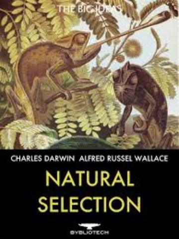 Wallace's Contributions to the Theory of Natural Selection is published