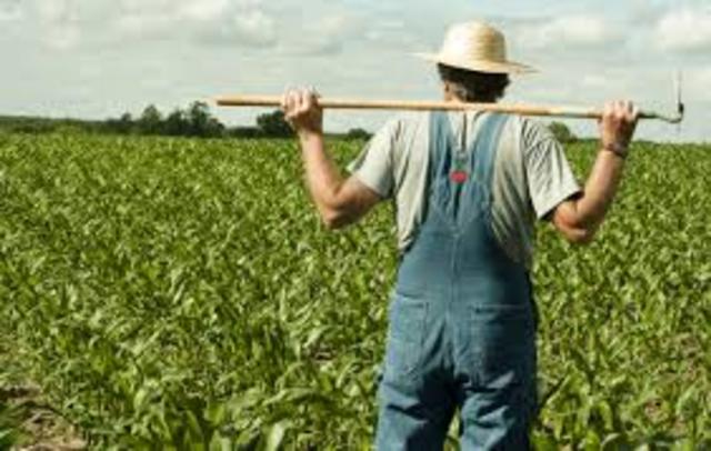 Farmers Share of Income Plummets