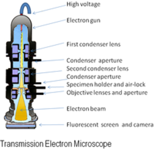 Electron Microscope Continued