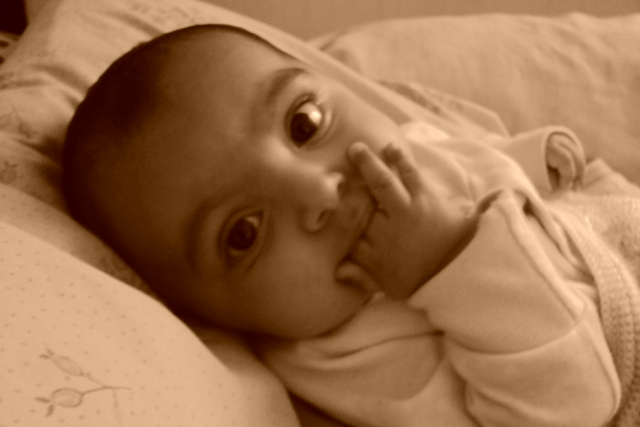 NACIMIENTO FERNANDA GARCIA ANLEU