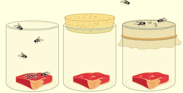 AÑOS 1100 – 1700 DC