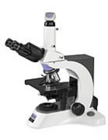Modern compound microscopes