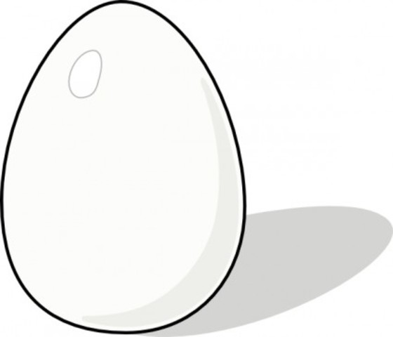Egg