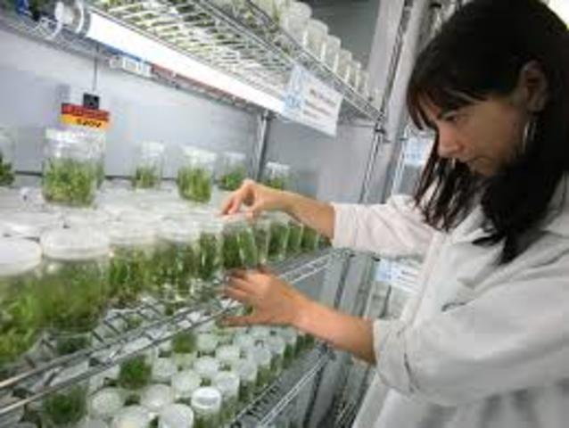 Modificacion de alimento