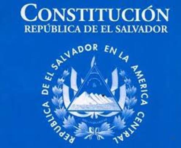 Nueva constitucion de la Republica
