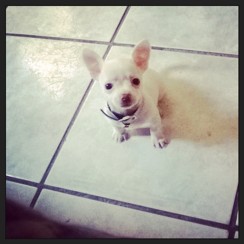 Personas importantes