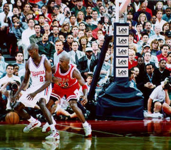 Sports: T'wolves' Sealy Dies In Head-on Collision