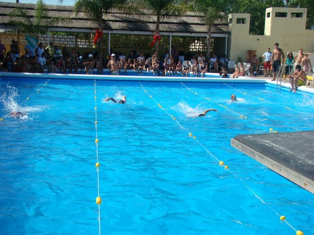 Principios en la natación