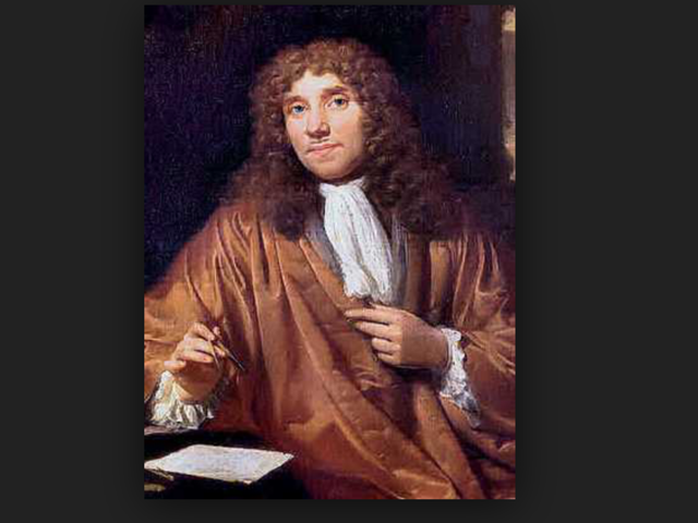 Anton Van Leeuwenhoek