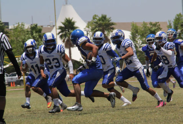 Borregos Laguna Campeón