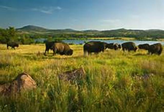 First national wildlife refuge established