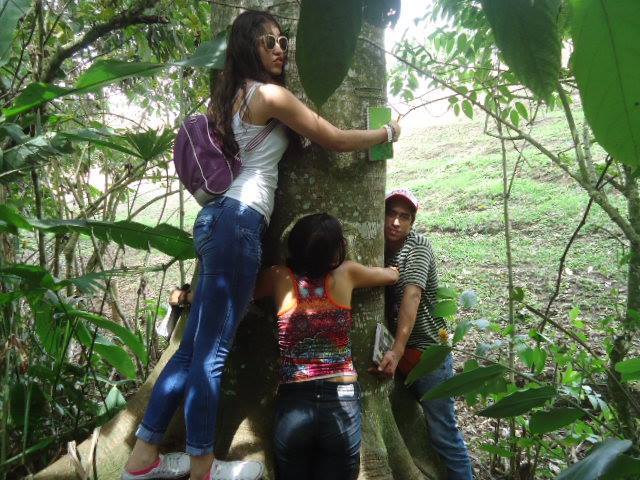 el arbol que saca todas las malas influencias