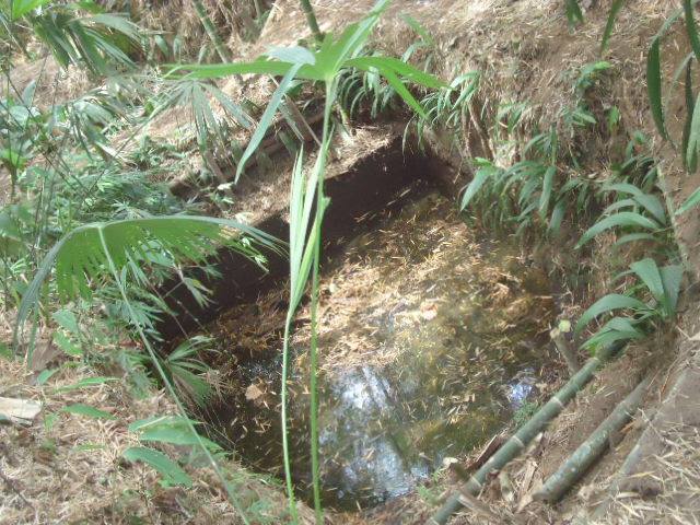 este grande y hermoso nacimiento