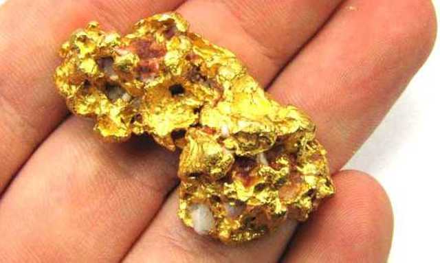 The Gold Rush Begins!!